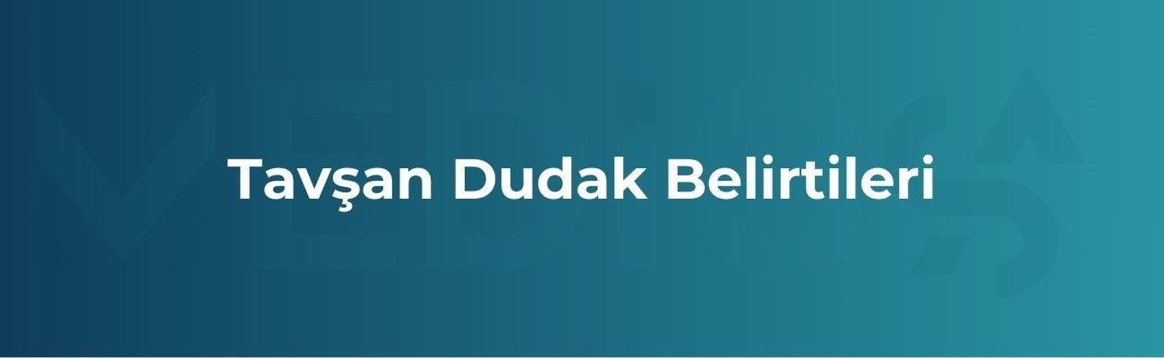 Tavşan Dudak Belirtileri